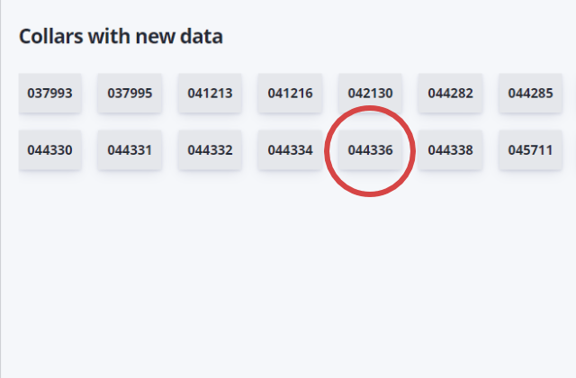 Collars With New Data Link